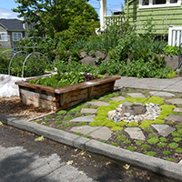 Wooden planter boxes with young plants in the planting strip.