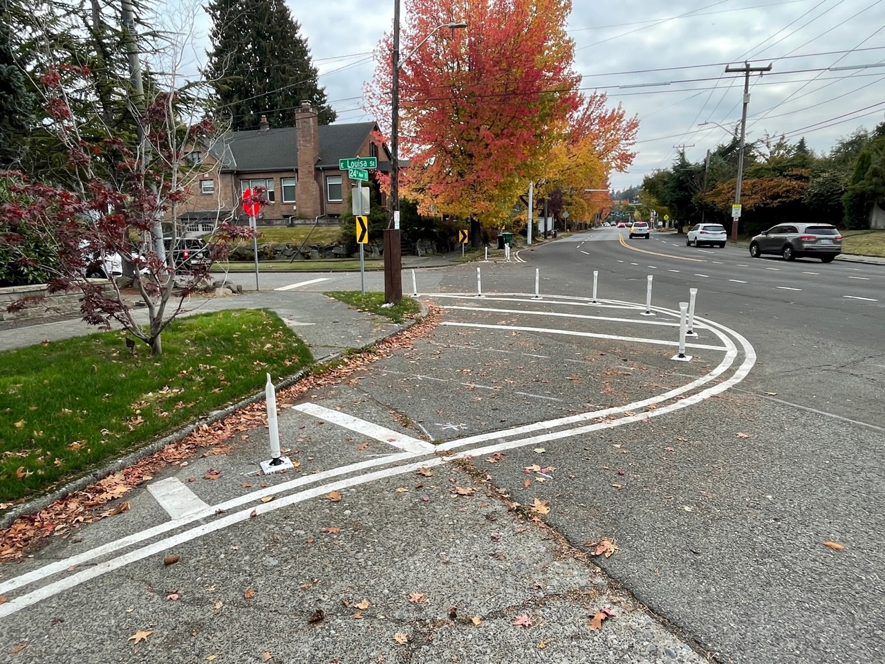 A picture showing a street with curved white lines painted and white posts in the street. 