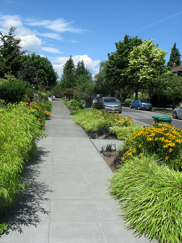 Planting in a planting strip helps beautify your neighborhood!