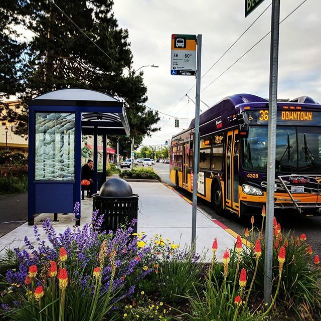 Bus stop with shelter, trash can