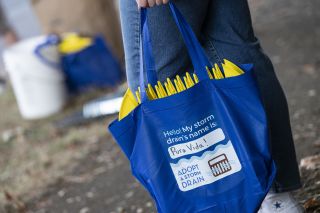 A storm drain in a street.