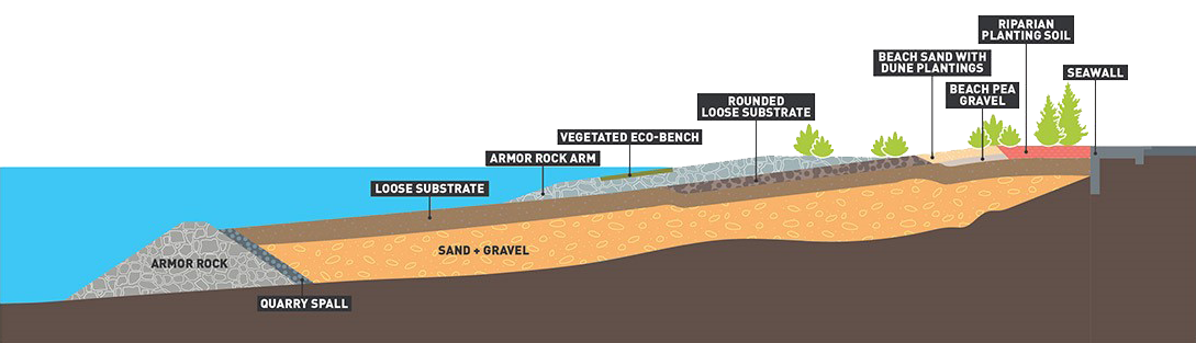 Graphic showing the layers of Habitat Beach: armor rock, quarry spall, sand and gravel, covered with loose subtrate, armor rock arm, vegetated eco-bench, rounded loose substrate, beach sand with dune plantings, beach pea gravel, riparian planting soil, seawall