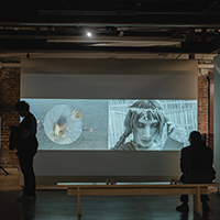 Two people viewing two videos on a projector.