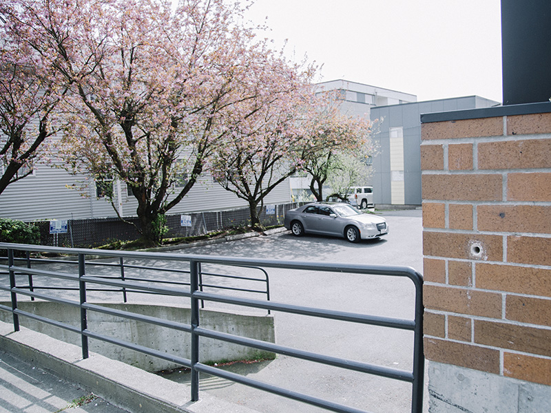 Parking lot in back of the Central Customer Service Center