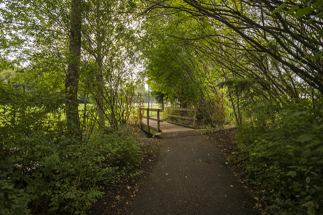 Meadowbrook Community Center paths