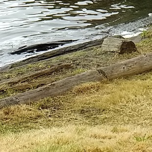 Lake City Beach Park