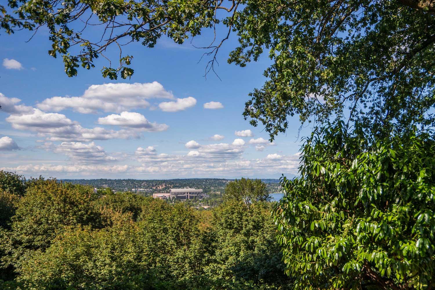 View from Boren Park - photo by TIA International Photography