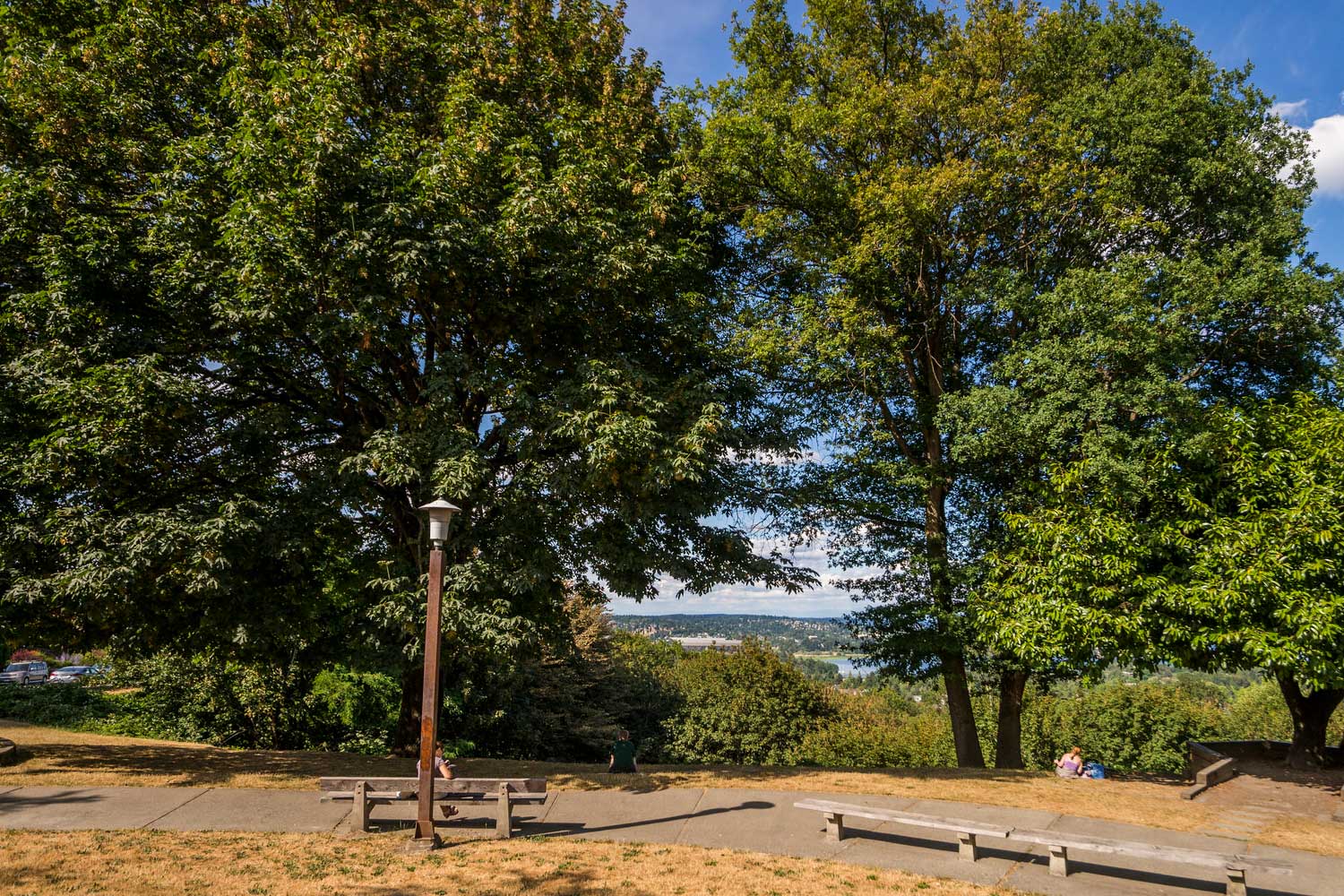 Boren Park overlook - photo by TIA International Photography