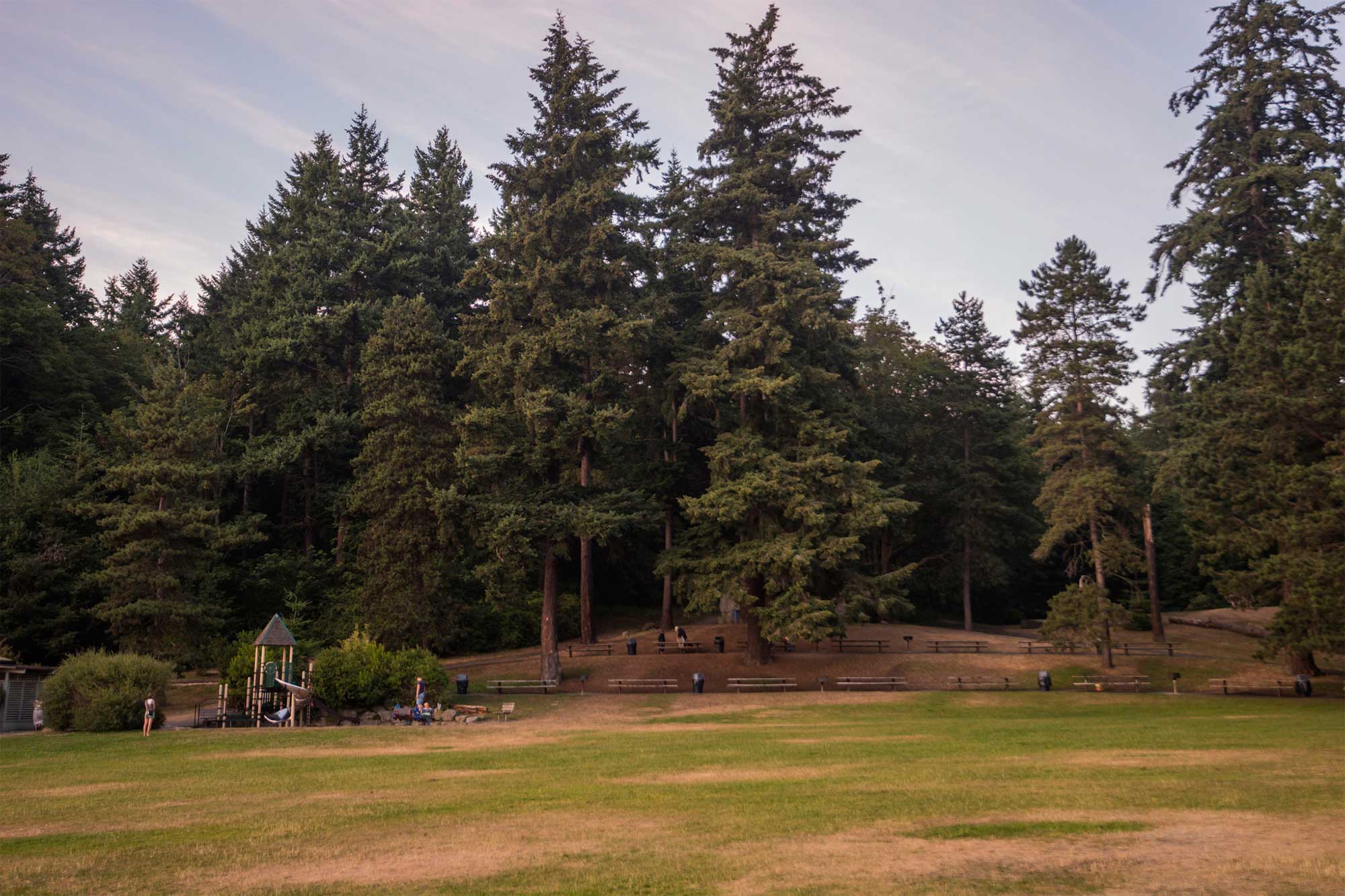 Carkeek Park trees - Photo by TIA International Photography
