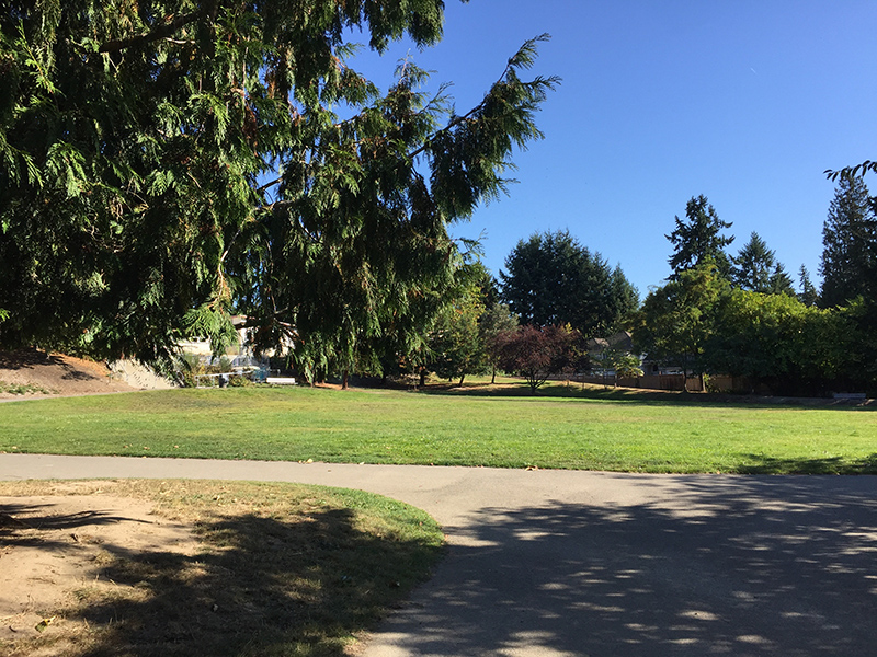 Cedar Park plaza and paths