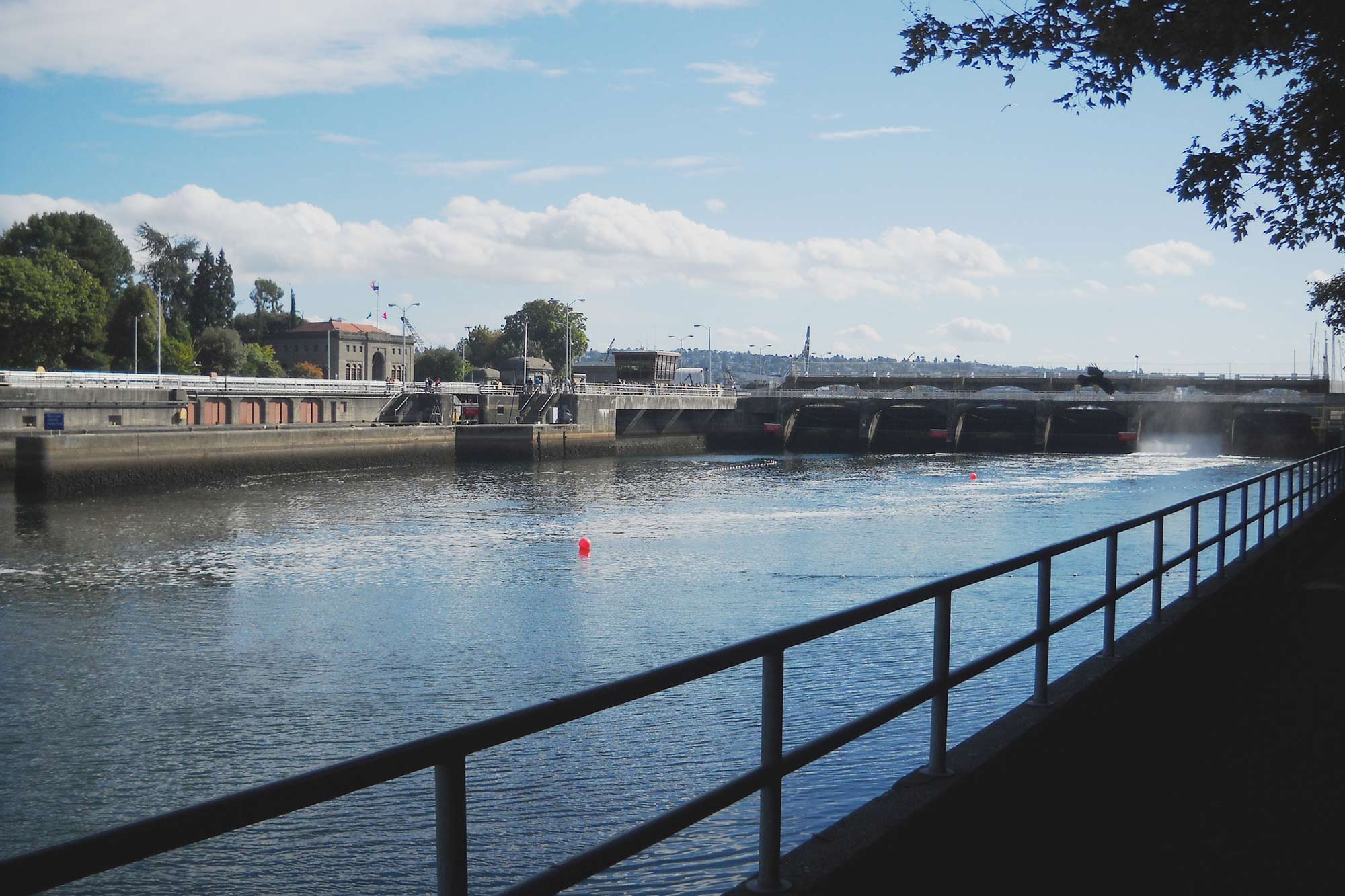 Commodore Park water and walkway - Photo by Laurel Mercury