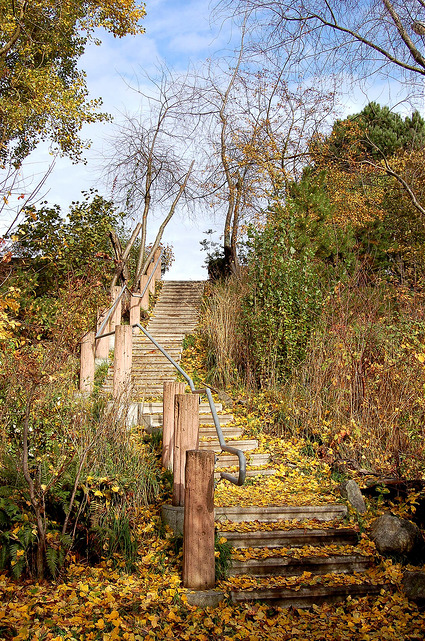 Crown Hill Glen staircase and path