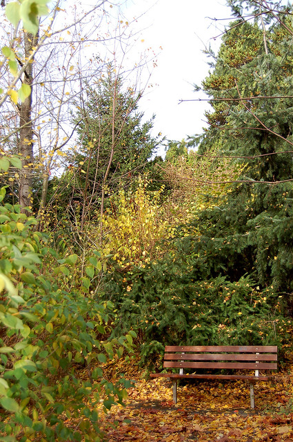 Crown Hill Glen bench with fall leaves