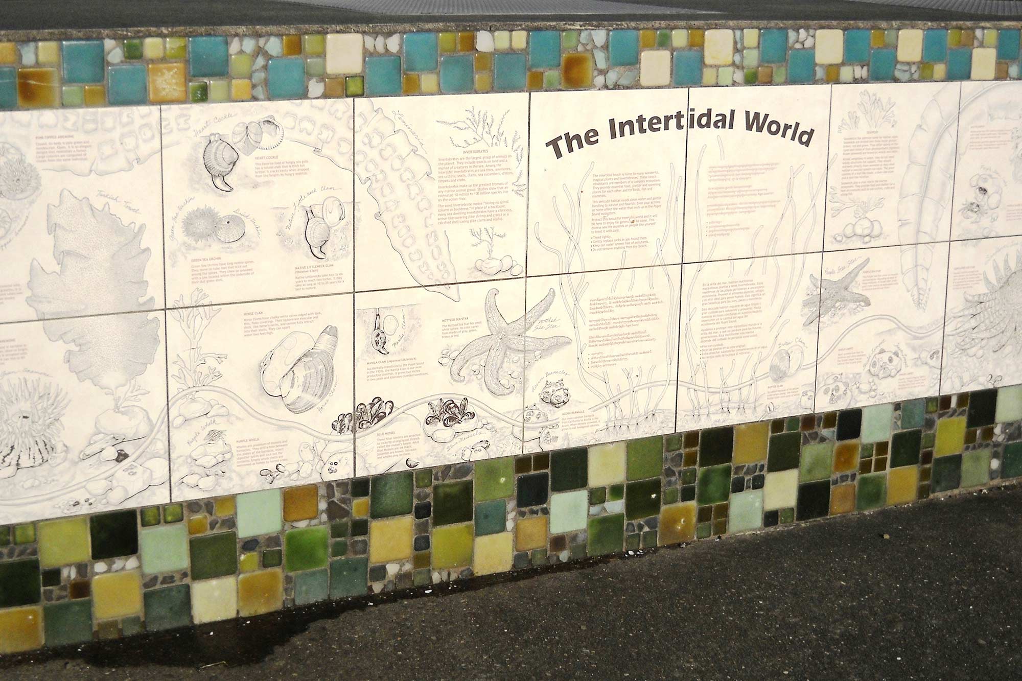 Richey Viewpoint close up of tiles