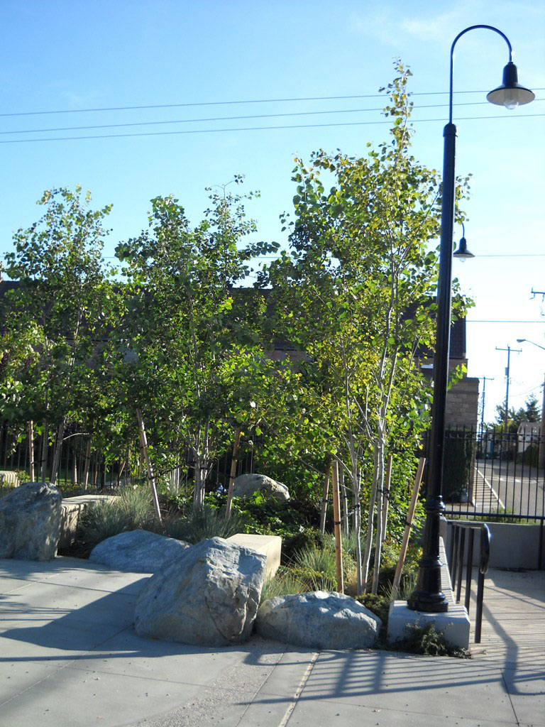 Dakota Place Park lamps and landscaping