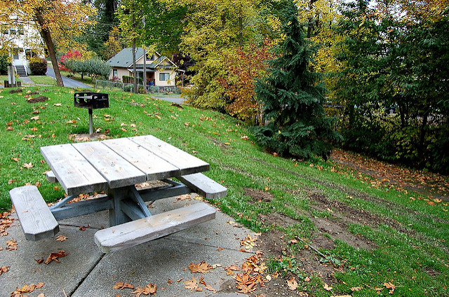 Dearborn Park picnic table