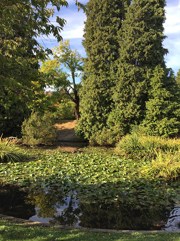 Denny Blain Lake Park trees and pond