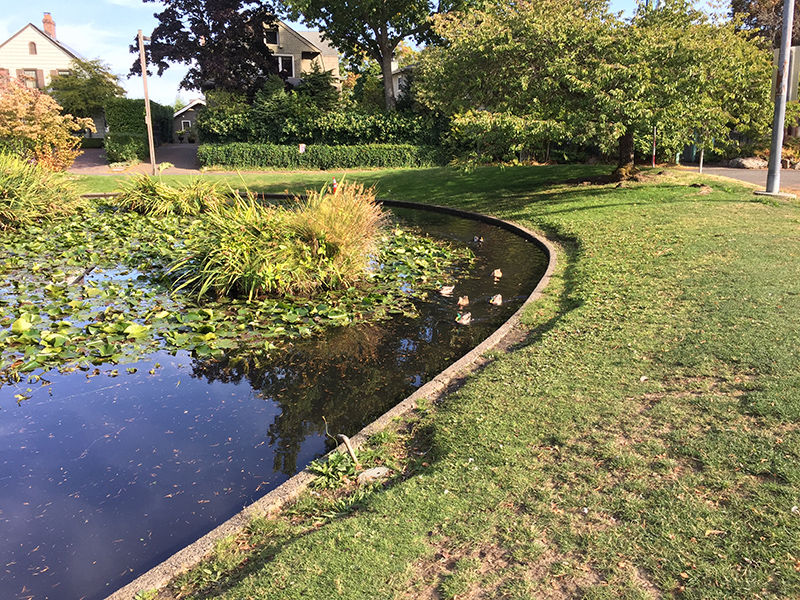 Denny Blain Lake Park from the street