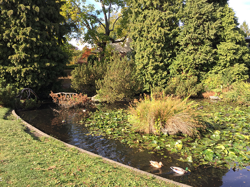Denny Blain Lake Park pond