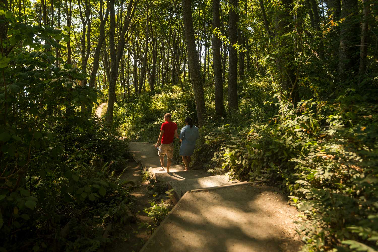 Discovery Park trail - photo by TIA International Photography