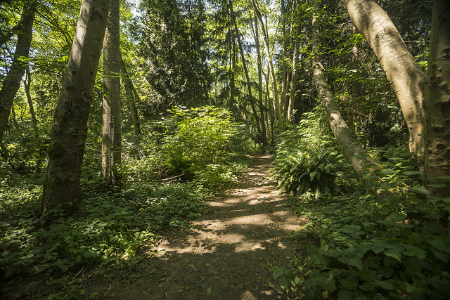 Fauntleroy Park paths