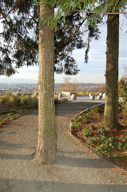 Fremont Peak Park trees and paths