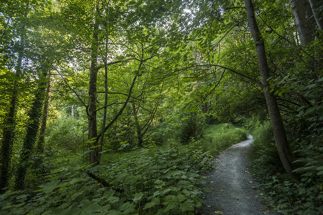 Frink Park path