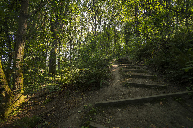 Frink Park stairway