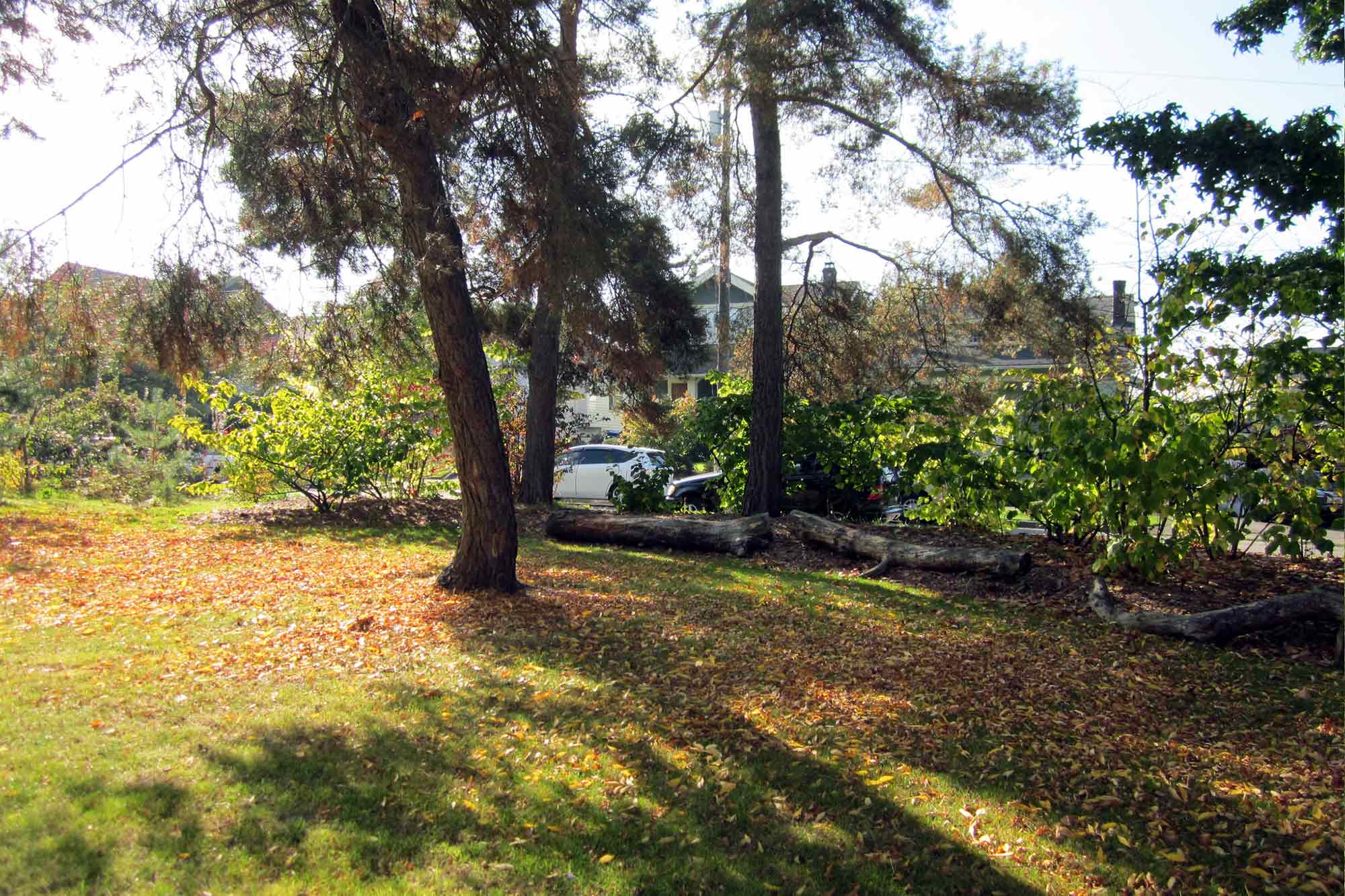 Gerber Park bench and lawn
