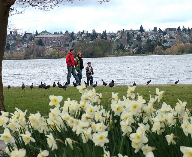 Green Lake Park in Spring
