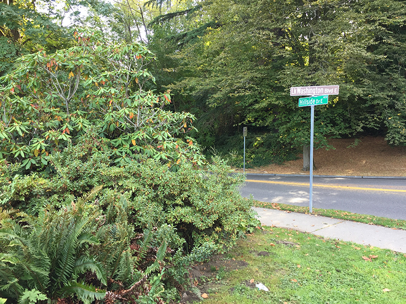 Intersection Lakeview Park