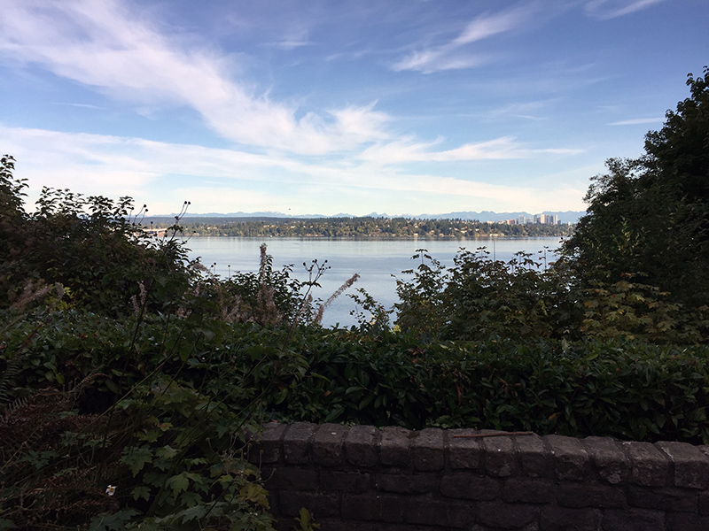 Lookout at Lakeview Park