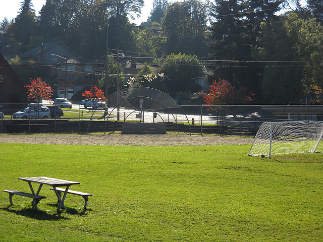 Lakewood Playground lawn
