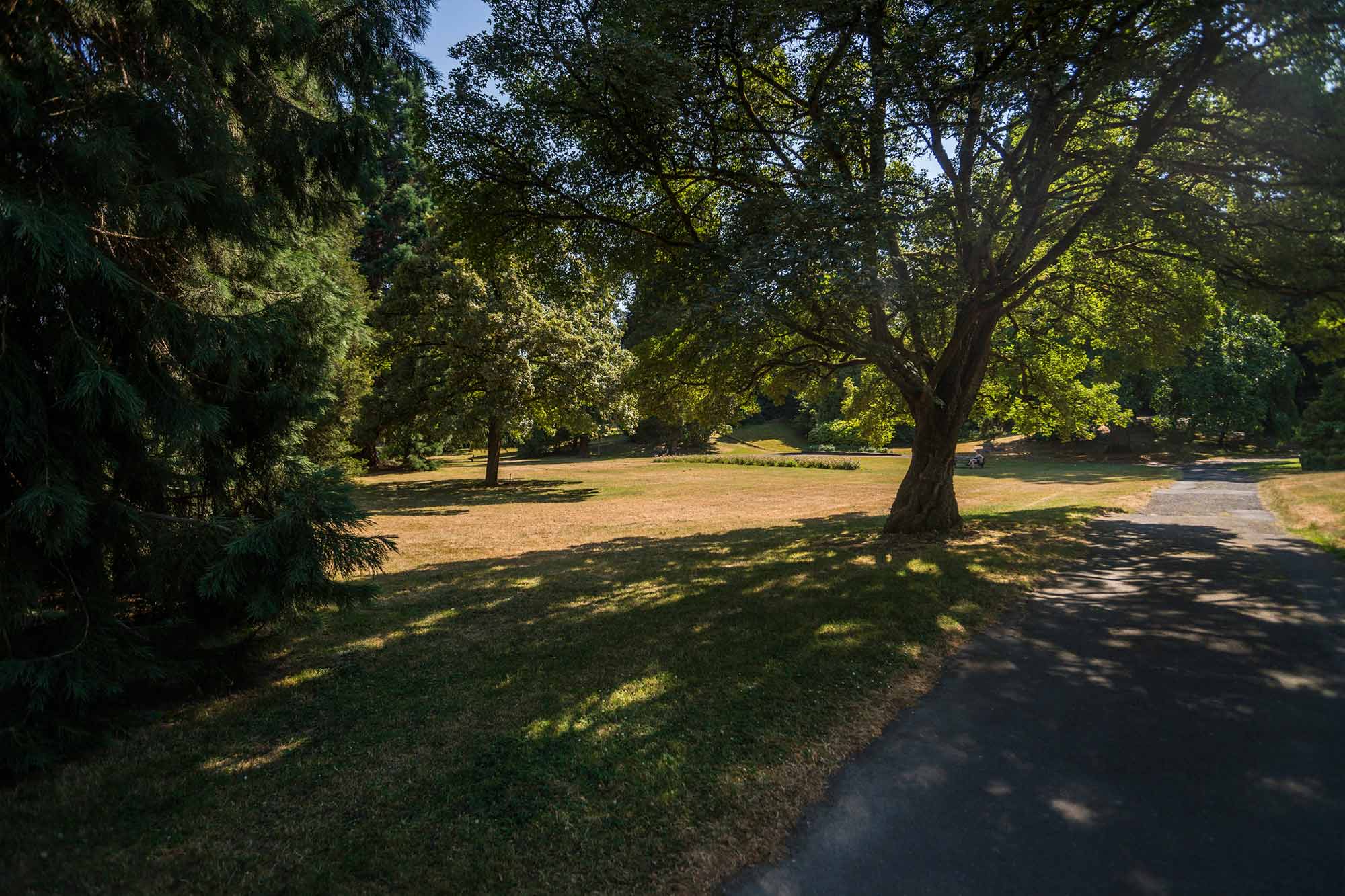 Leschi Park paths - Photo by TIA International Photography