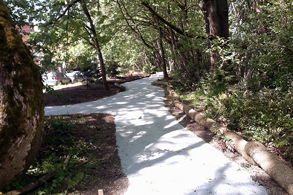 Trails in Lewis Park