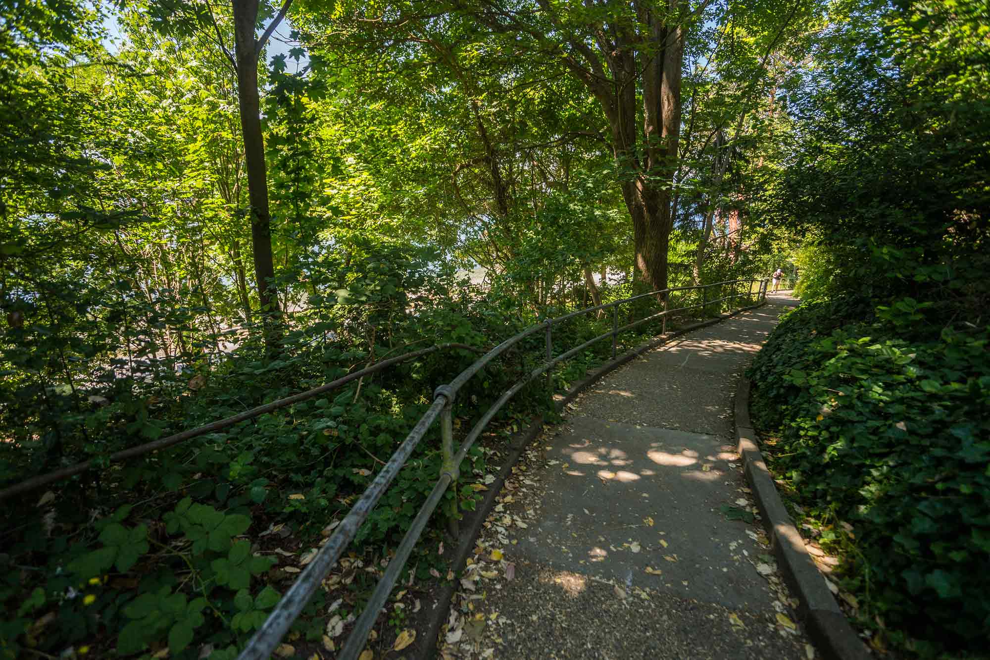 Lincoln Park paths - Photo by TIA International Photography