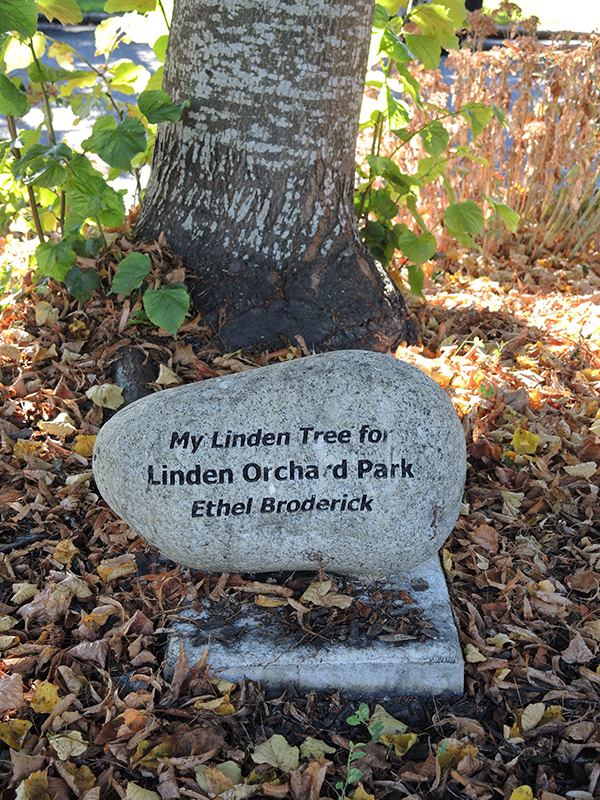 Linden Orchard decorative stone