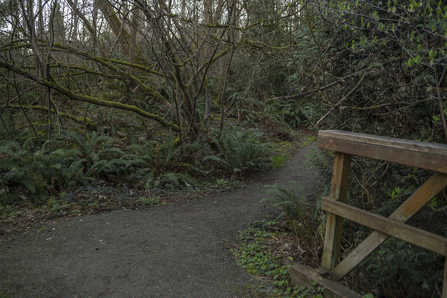 Longfellow Creek Natural Area path past bridge