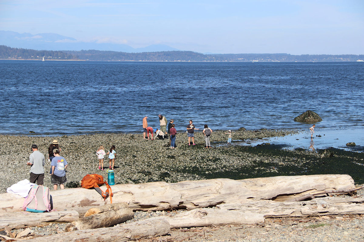 Lowman Beach Park play area - Photo by TIA International Photography