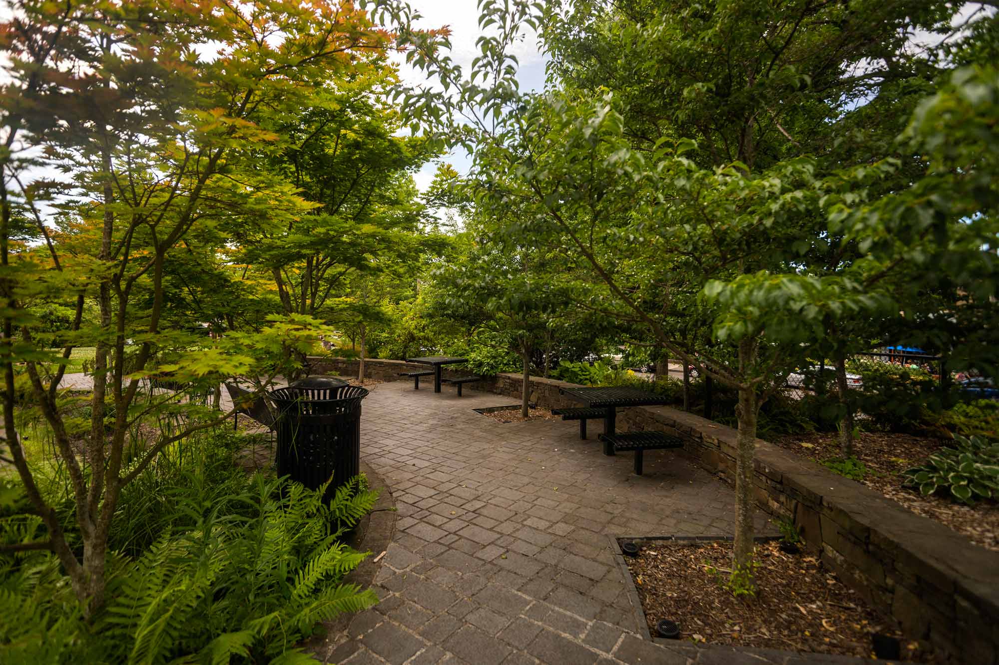Madison Park paths - Photo by TIA International Photography