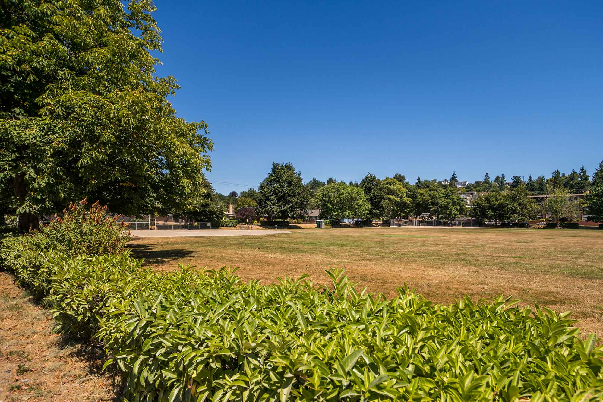 Magnolia Playfield landscaping and lawn - Photo by TIA International Phtography