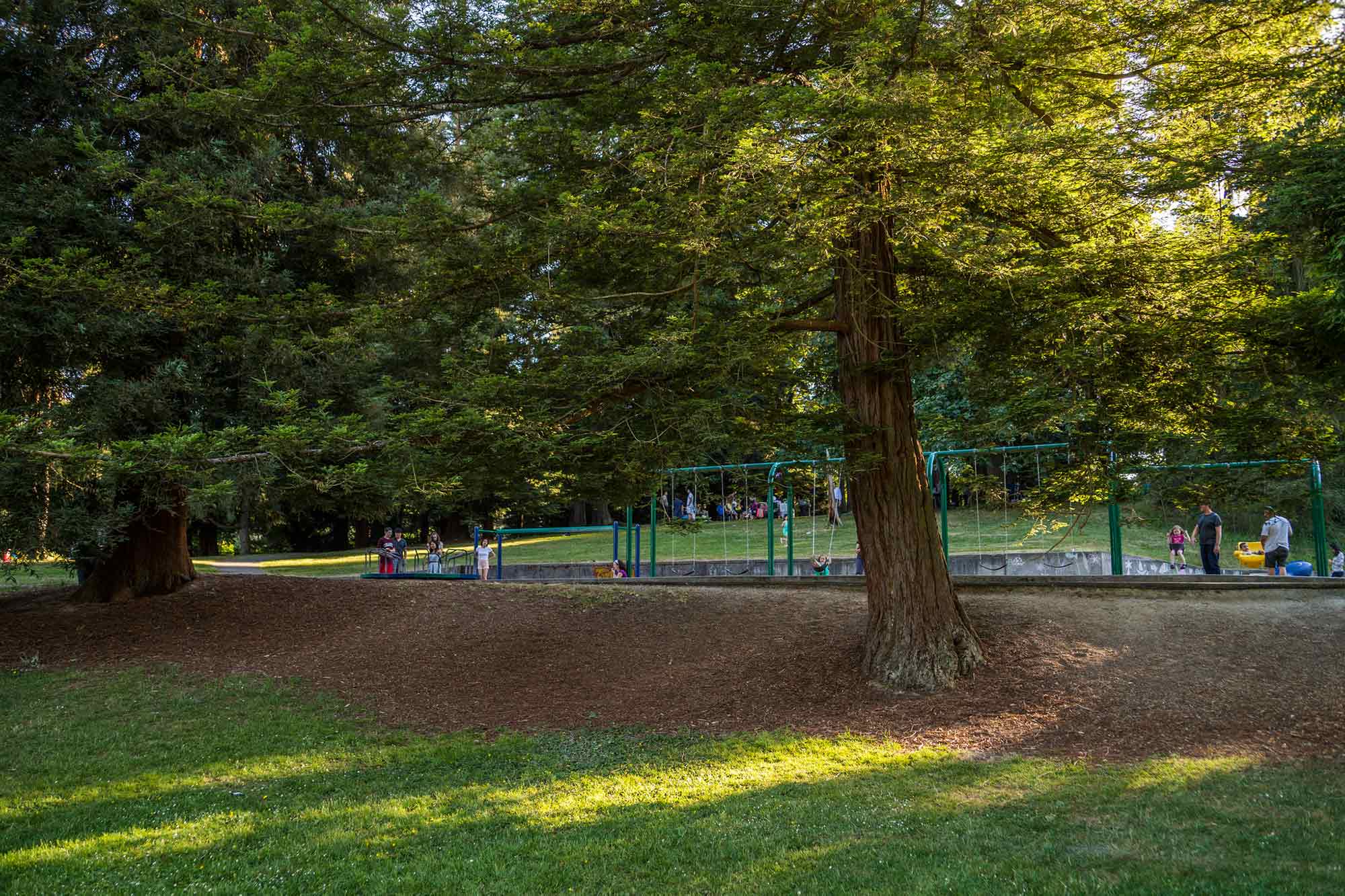 Matthews Beach Park play area and trees - Photo by TIA International Photorgraphy