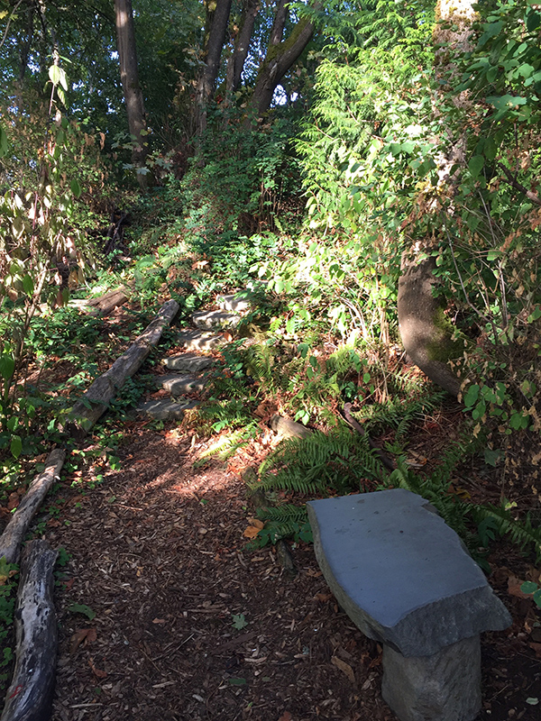 Nora's Woods bench and path