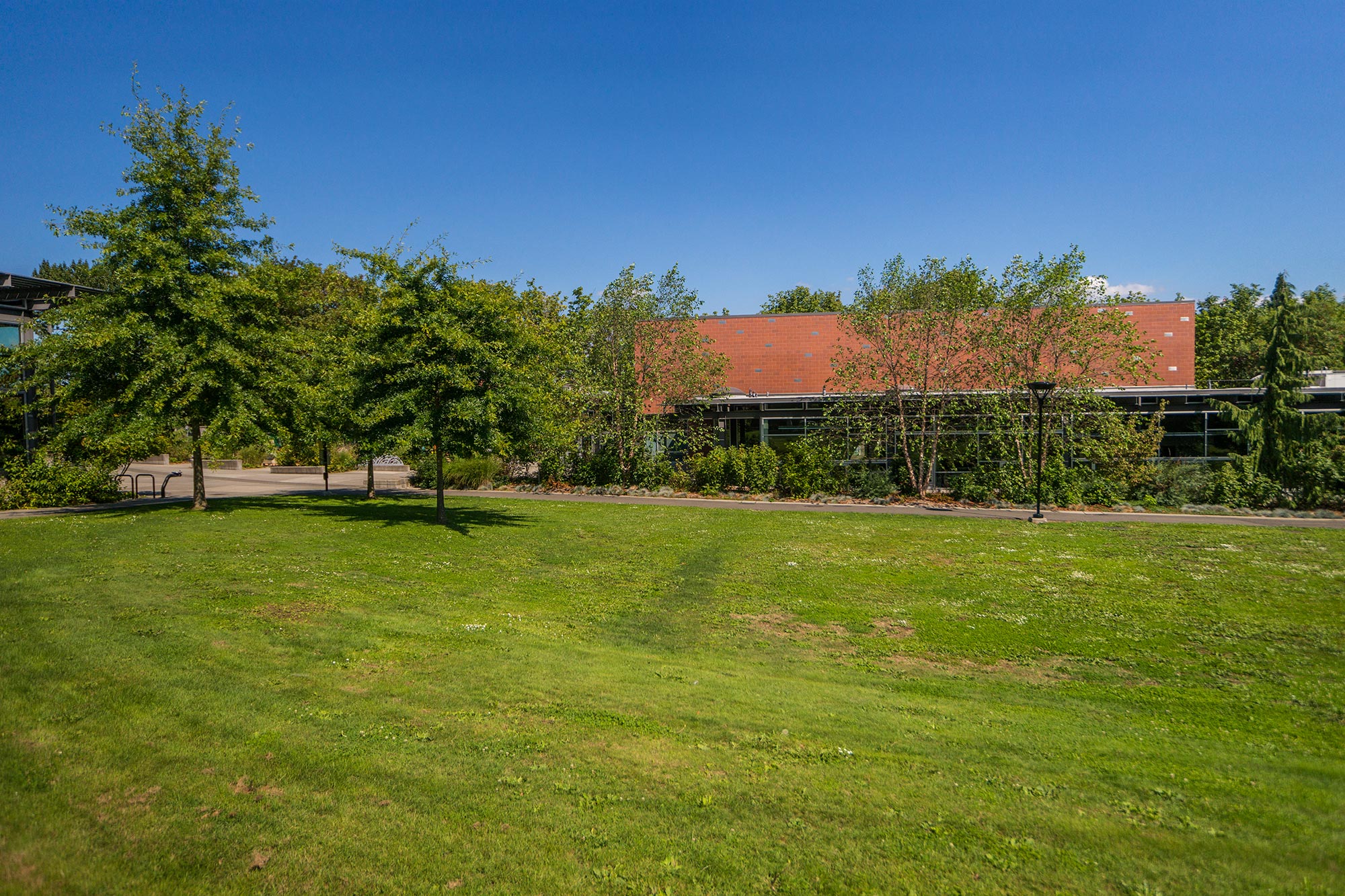 Northgate Park field lawn