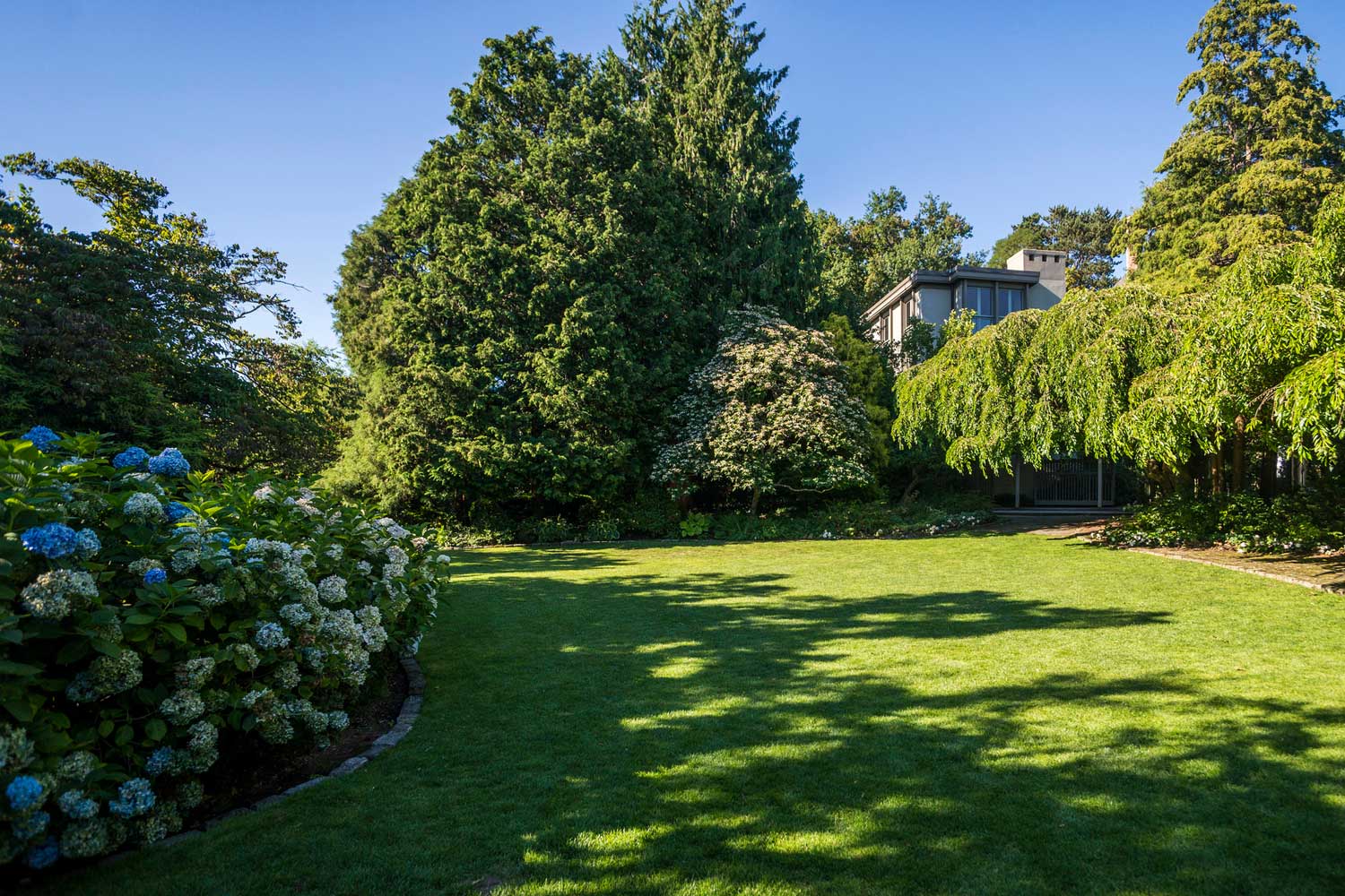 Greenspace at Parsons Gardens - photo by TIA International Photography