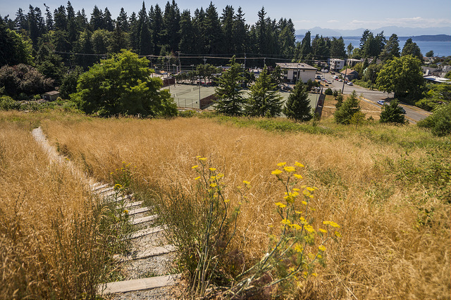Solstice Park stairs through field