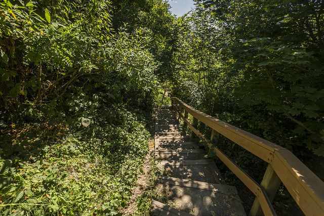 Solstice Park bridge