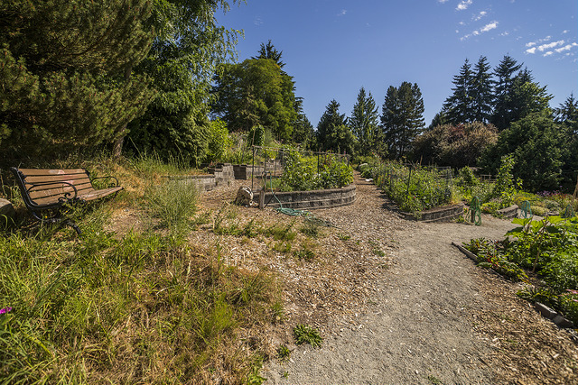 Solstice Park bench along path