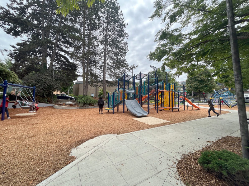 Play Area Overview - Play area surrounded by trees with slides and children swinging