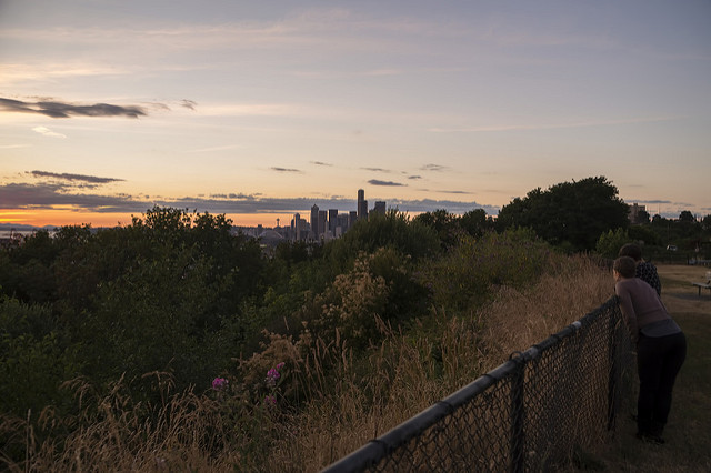 Twelfth Avenue South Viewpoint fence border